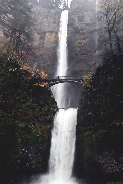 wasifio: <br /><br /> Multnomah Falls in Oregon  <br /> 