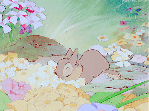 my gifs mine disney flowers animation disney gif bambi bunny rabbit disney gifs disney classics Classic Disney thumper 