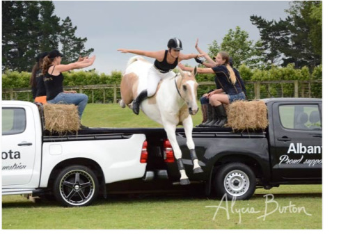 horsesjumpingcourses:  Extreme Free Riding landing over two Toyota Hilux Utes from Albany Toyota-Adberry Equestrian Centre Auckland. http://freeridingnz.com/gallery