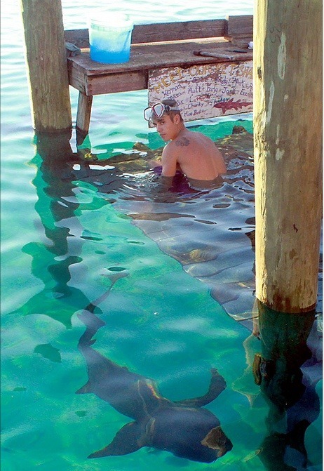 jelena-all-news:

New picture of Justin playing with sharks while on vacation 
