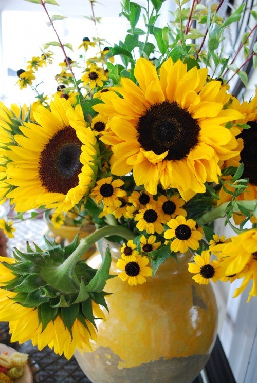 sunflowersandsearchinghearts:

Pinterest - Sunflower Pretty via Searching Hearts
