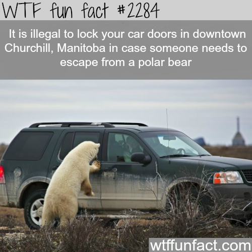 Canada&#8217;s awesome laws - WTF fun facts