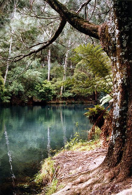 nostalgic-dreaming: The Blue Lake at Jenolan Caves by traceyjohns on Flickr. 