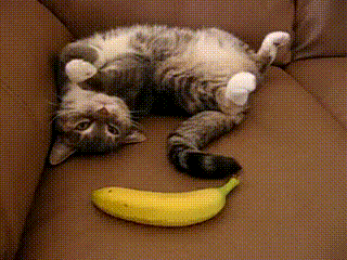 ravennazane:  When bananas sneak up on you…