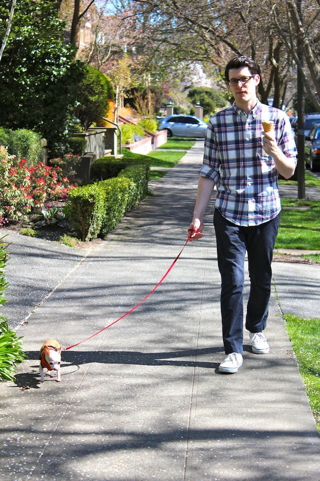 spring easter in seattle with chihuahua and husband