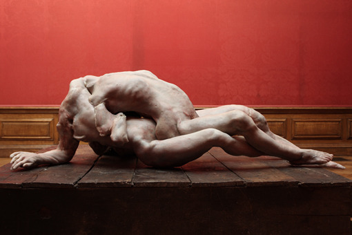 raveneuse:    Berlinde de Bruyckere  We are all Flesh, 2009