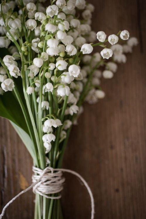 (via Lily of the Valley | beautiful inspiration | Pinterest)