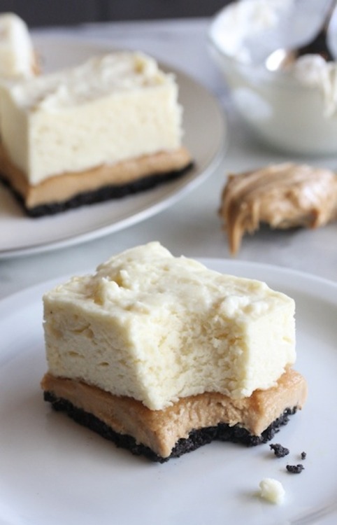 gastrogirl:

peanut butter no-bake marshmallow cheesecake bars.
