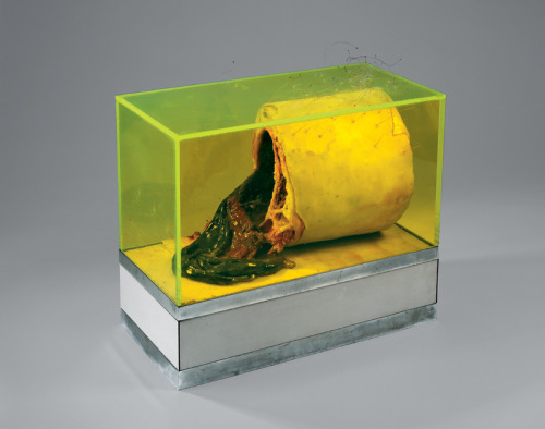 Paul Thek
Untitiled
 wood, formica, metal, wax, paint, glass beads, resin, acrylic glass
1966