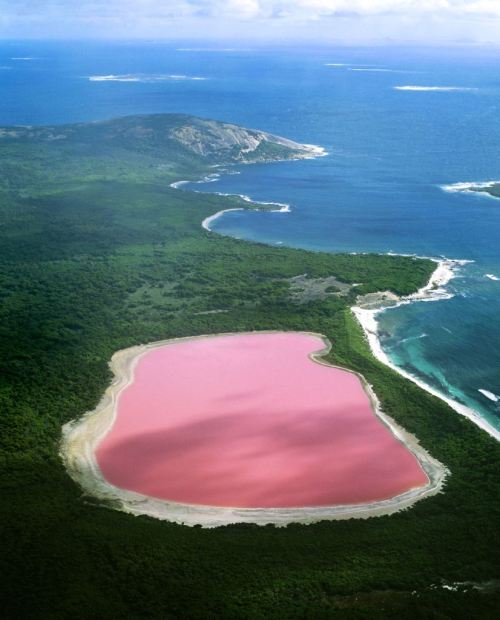 visitheworld:

Lake Hillier, the pink lake in Recherche Archipelago, Western Australia (via imgur).
