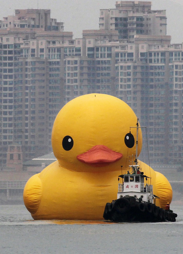 (via Florentijn Hofman’s Giant Inflatable ‘Rubber Duck’ Floats to Hong Kong)