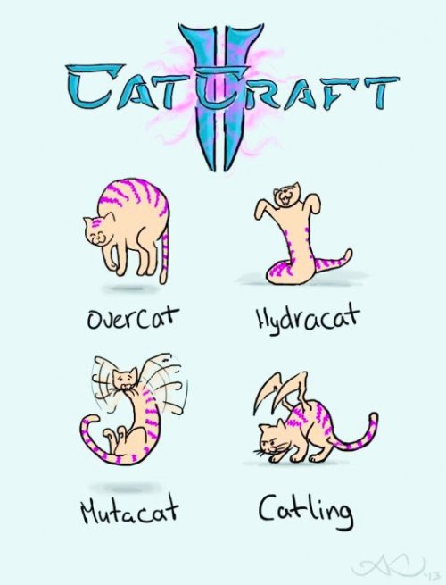 CatCraft
kekekekekekekeke- meow.