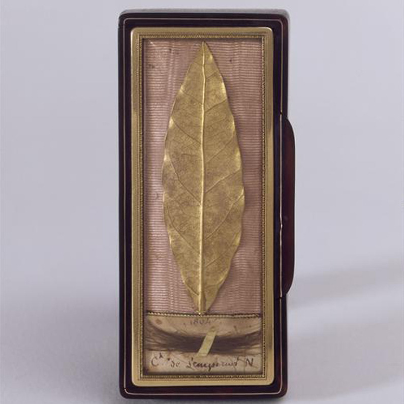 fapoleon-bonerparte:

Laurel leaf from the laurel wreath used at the coronation of Napoleon I. Mounted in a box frame. Gold. Circa 1804. Martin-Guillaume Biennais (1764-1843).
[Source]
