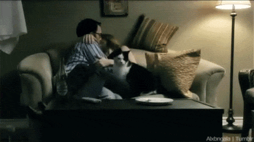 Sofa sex gifs erotic couple The Sexiest