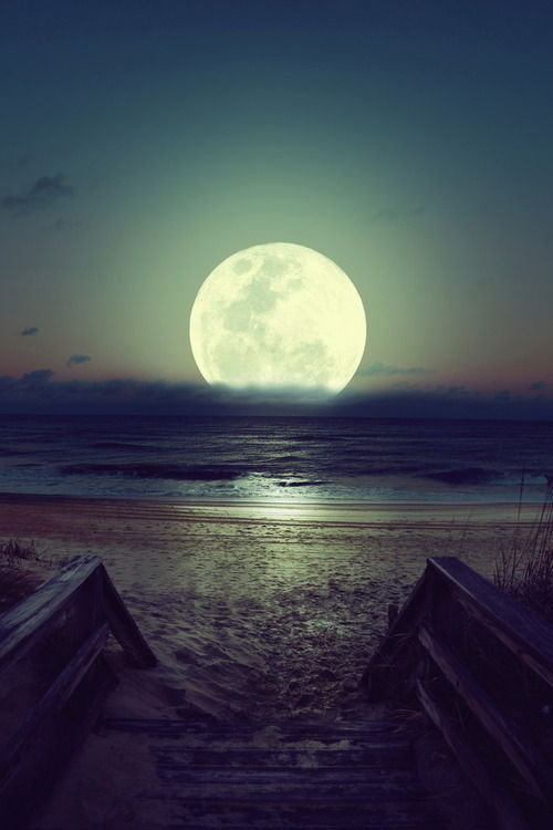 Search results for moon beach gorgeous night beautiful nature