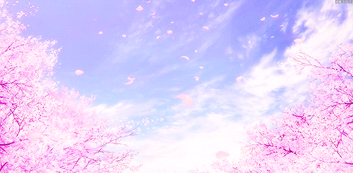 Featured image of post Falling Cherry Blossom Anime Gif - Looking for the best anime cherry blossom wallpaper?