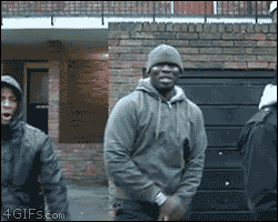 The most random gif you'll see today : r/funny