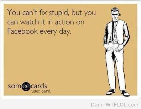 You can't fix stupid, but you can watch it in action on Facebook every day.