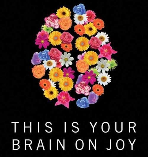 brain on joy