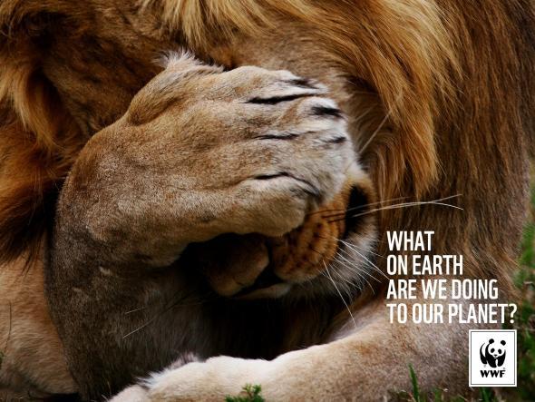 (via WWF: Lion | Ads of the World™)