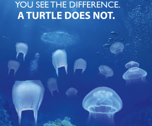 siete-bella:

vegan-vulcan:

vegan-nature:

Animals in our oceans die and suffer everyday because of actions we aren’t really even aware of, such as leaving a plastic bag on the sidewalk. Litter can have a very negative consequence on our environment, so lets move away from plastic based products and push to make all packaging for our products 100% Biodegradable.

I didn’t even see the difference at first. I was all “huh that’s a weird looking jellyfish, I wonder what kind that is” This is a really really good ad. Like this is really fucking clever and effective.

This makes me a little sad :(

This should help you feel better:
