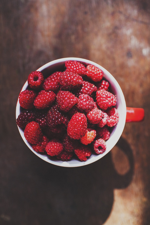 foody-goody:

Raspberries
