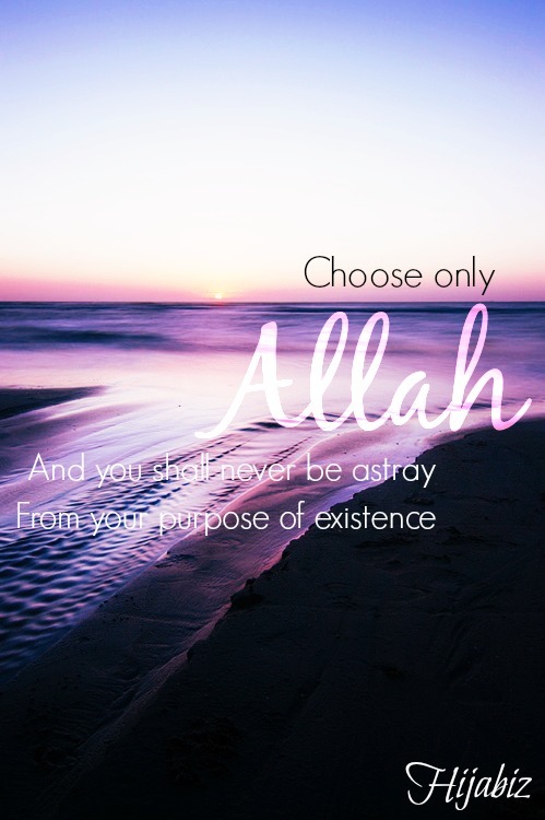 hijabiz:

Choose only Allah <3 
and you shall be safe :) 
