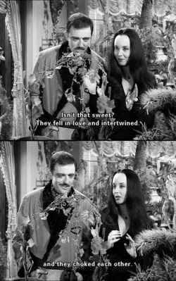 Morticia love quotes gomez and What Couples
