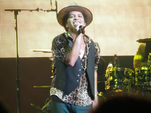 Bruno in Austin (x)