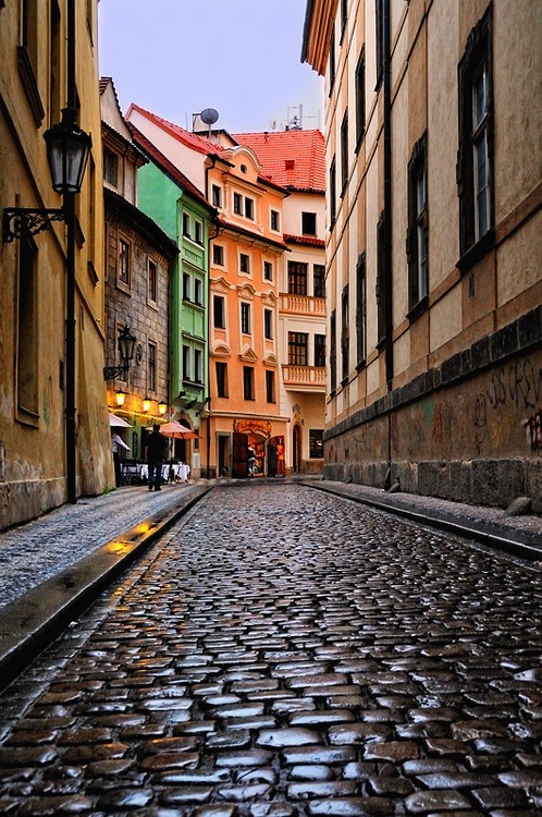 amalijaa:

Cobblestone Street, Prague, Czech Republic
