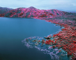 Infrared Landscapes by Richard Mosse posted by ianbrooks.me