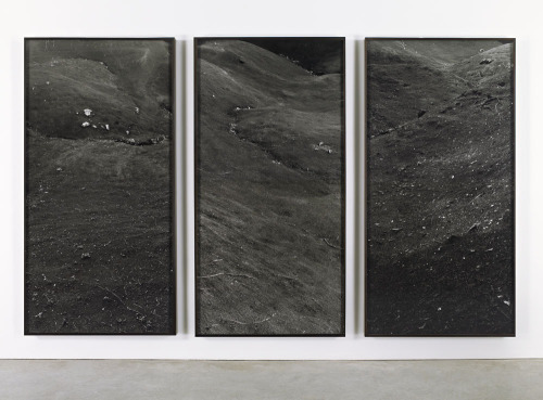 Jan Henle, Con el Mismo Amor (triptych), 1999-2006