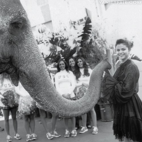 Selena&#8217;s new photoshoot for the Vainity Fair Hollywood Issue.