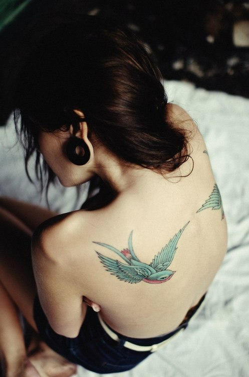 Do You Know the Difference - Swallow Tattoos Vs Sparrow Tattoos