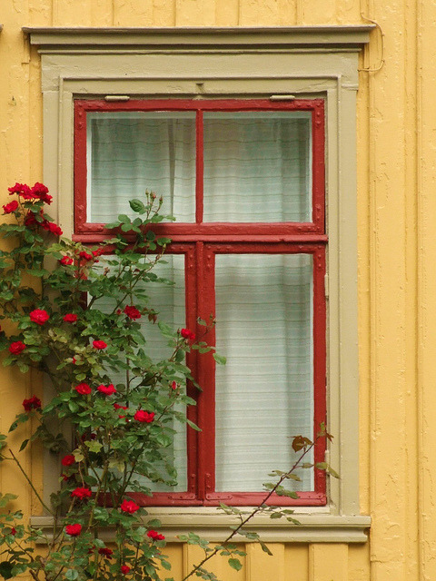 Beautiful window in Trondheim, Norway