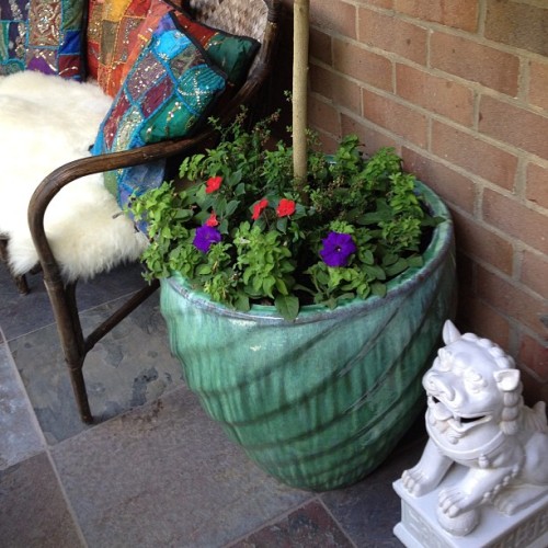 Love my foo dogs and planters from @homegoods #homegoodshappy #homegoods #balcony #love