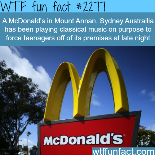A McDonalds&#8217;s in Mount Annan - WTF fun facts