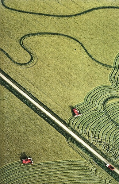 Rice fields on the Gulf Coast in Texas
National Geographic | April 1980