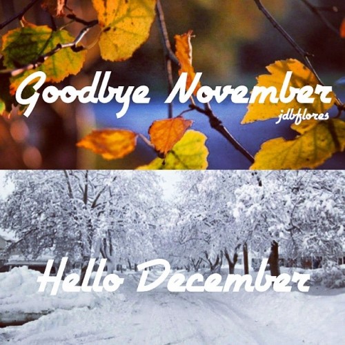 Goodbye NovemberHello December{New Edit} #mypost #followback #love #november #december #myedit #goodbye #hello