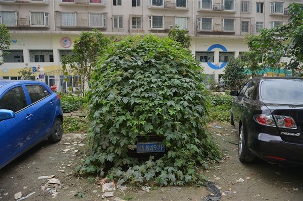 (via 22 Words | Abandoned car so thoroughly covered in vines they weren’t removed before towing it away [4 pics])