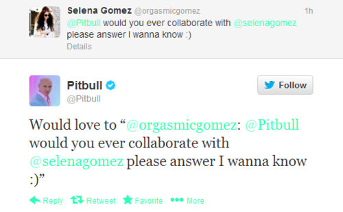 Pitbull said he would like to collaborate with Selena.