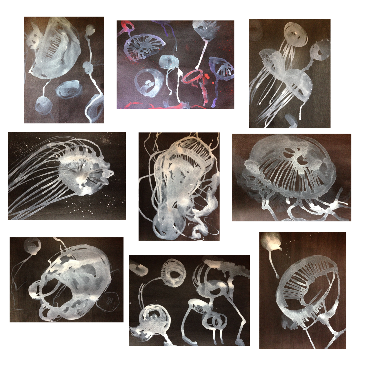 10) 11 x 15 jellyfish series.
jenny andrews-anderson