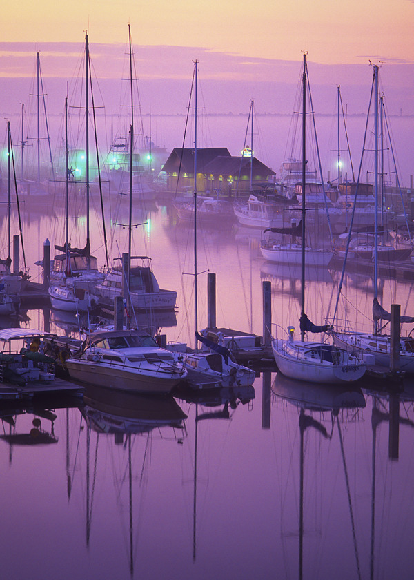 Misty morning, Ashley River marina, Charleston, SC  © Doug Hickok  All Rights Reserved  hueandeye