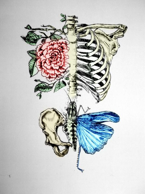 hipster indie Grunge butterfly skeleton rose grasshopper ...