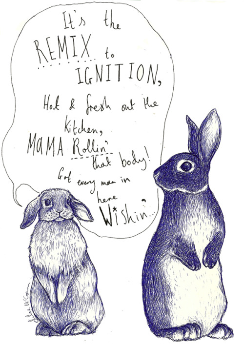 quote lyrics romance rabbit rabbits easter artists on tumblr ...