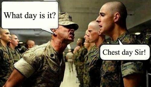 Reblog if you love chest day, soldier! 
