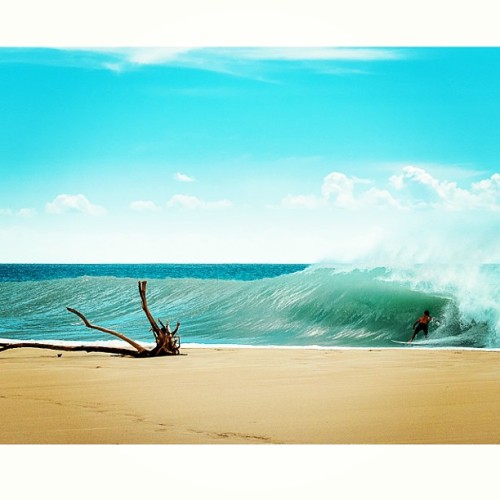 photo de surf 11990