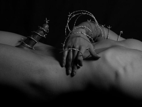 Barbed wire encircles a man 8217s erect penis and right arm and hand