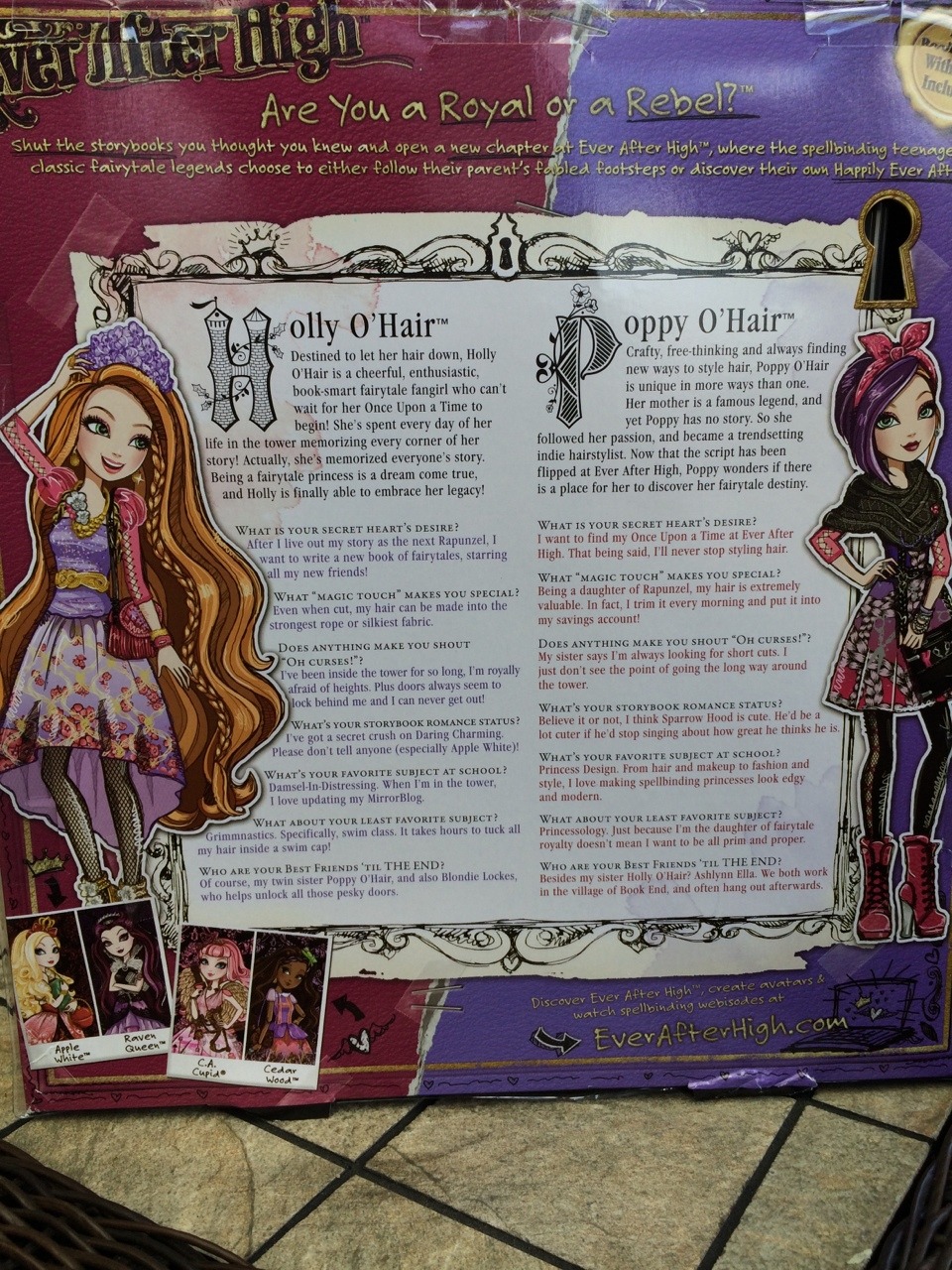 frozenmonsterhigh:

Holly and Poppy O’hair just arrived
