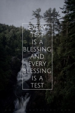 lionofallah:

Every test is a blessing and every blessing is a test.
- www.lionofAllah.com
